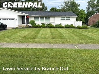 Lawn Mowing nearby Lake View, NY, 