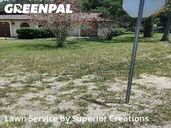 Grass Cutting nearby Spring Hill, FL, 