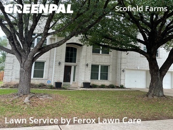 Grass Cutting nearby Austin, TX, 