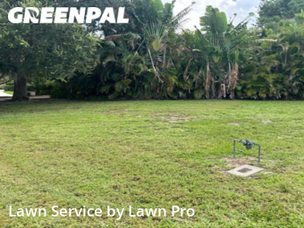 Grass Cutting nearby Osprey, FL, 
