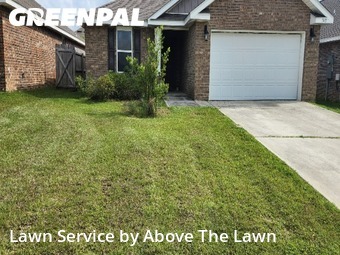 Grass Services in Bellview, 32526, Yard Mowing by Above The Lawn, work completed in Nov , 2025