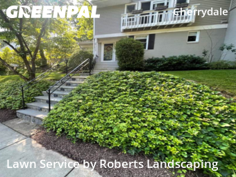 Lawn Care Service nearby Arlington, VA, 
