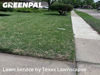 Grass Cut nearby Richardson, TX, 