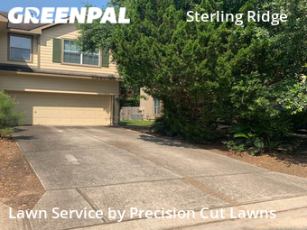 Lawn Mow nearby The Woodlands, TX, 