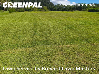 Grass Care in Merritt Island, 32953, Lawn Cutting by Brevard Lawn Masters, work completed in Oct , 2025