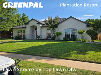 Grass Cuttingin Frisco,75035,Yard Mowing by Top Lawn Dfw, work completed in Nov , 2025