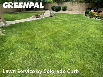 Yard Cutting nearby Colorado Springs, CO, 