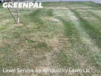 Lawn Care nearby Saint Charles, MO, 