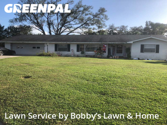 Grass Cut nearby Lakeland, FL, 