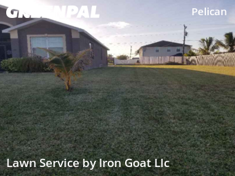 Lawn Mowing Service nearby Cape Coral, FL, 