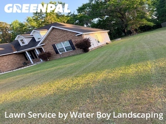 Lawn Cut nearby Ludowici, GA, 