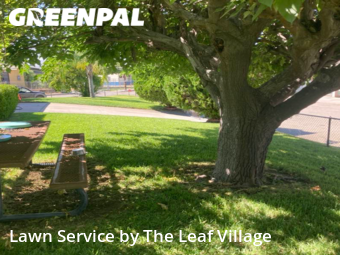 Lawn Mowing Service nearby Colton, CA, 