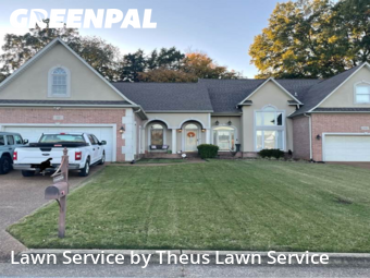 Lawn Upkeep in Jackson, 38305, Yard Upkeep by Theus Lawn Service, work completed in Nov , 2025