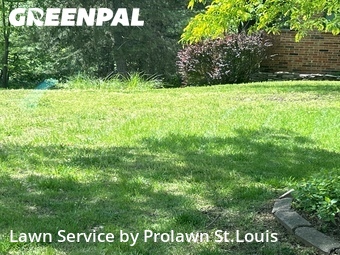 Yard Mowing nearby St. Louis, MO, 