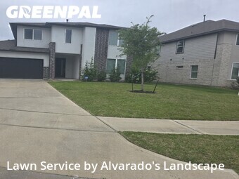 Lawn Carein The Woodlands,77384,Yard Mowing by Alvarado's Landscape, work completed in Jun , 2026