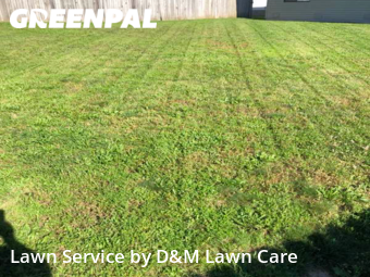 Lawn Cut nearby Springfield, MO, 