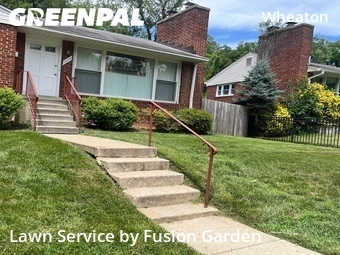 Grass Cut nearby Silver Spring, MD, 