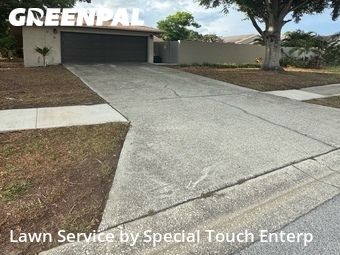 Lawn Cutting nearby Palm Harbor, FL, 