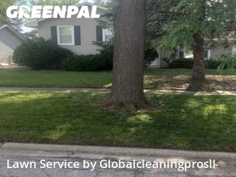 Lawn Cutting nearby Matteson, IL, 