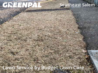 Landscaping Cleanup In Salem,97301,Landscaping Services by Budget Lawn Care, work completed in Oct , 2025
