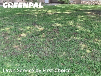 Lawn Care nearby Palm Coast, FL, 