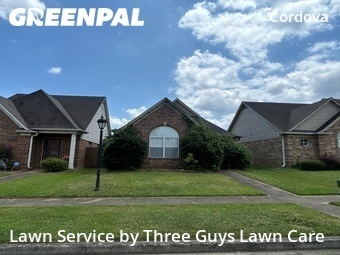 Grass Cut nearby Memphis, TN, 