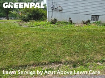 Lawn Cut nearby Pittsburgh, PA, 