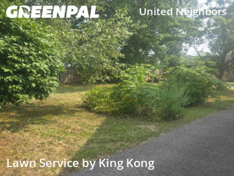 Lawn Mow nearby Rochester, NY, 