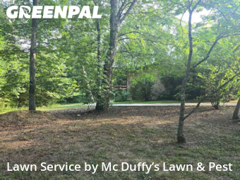 Yard Cutting nearby Newport, TN, 