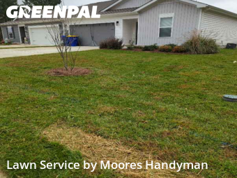Lawn Cutting in Dover, 19901, Turf Services by Moores Handyman, work completed in Dec , 2025
