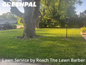 Grass Cut nearby Joliet, IL, 