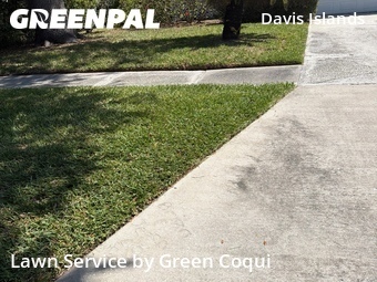 Yard Cutting nearby Tampa, FL, 