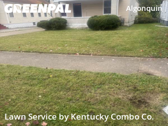 Lawn Cuttingin Louisville,40208,Lawn Mowing by Kentucky Combo Co. , work completed in Nov , 2025