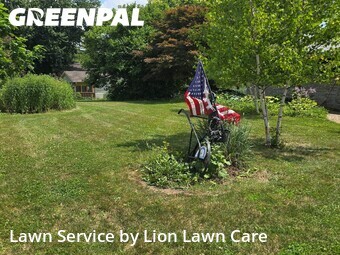 Lawn Cut nearby Springfield, OH, 