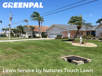 Grass Cut nearby Cape Coral, FL, 