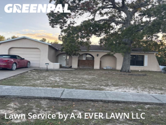 Lawn Cutting nearby Spring Hill, FL, 