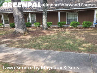 Lawn Care Service nearby Baton Rouge, LA, 