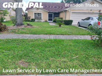 Grass Cutting nearby Brandon, FL, 