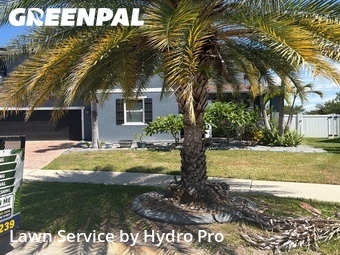 Grass Cut nearby Riverview, FL, 
