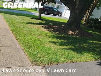 Lawn Care Service nearby Fairfax, VA, 