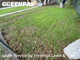 Yard Mowing nearby Seguin, TX, 