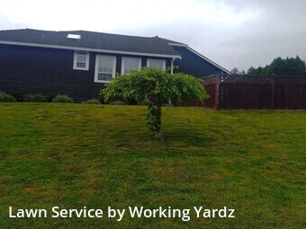Lawn Cut nearby Auburn, WA, 