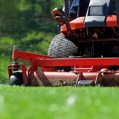 Arizona Lawn King Inc Photo 7