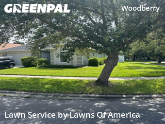 Lawn Care nearby Brandon, FL, 