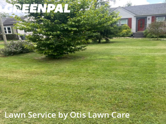 Grass Cut nearby Louisville, KY, 
