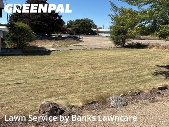 Lawn mowed in Caldwell, 83607