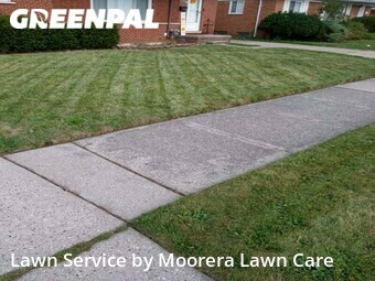 Lawn Mow nearby Warren, MI, 