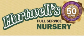 Best Nursery in Lewisville Texas 3