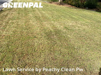 Yard Cutting nearby Hiram, GA, 