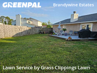 Lawn Mow nearby Panama City, FL, 